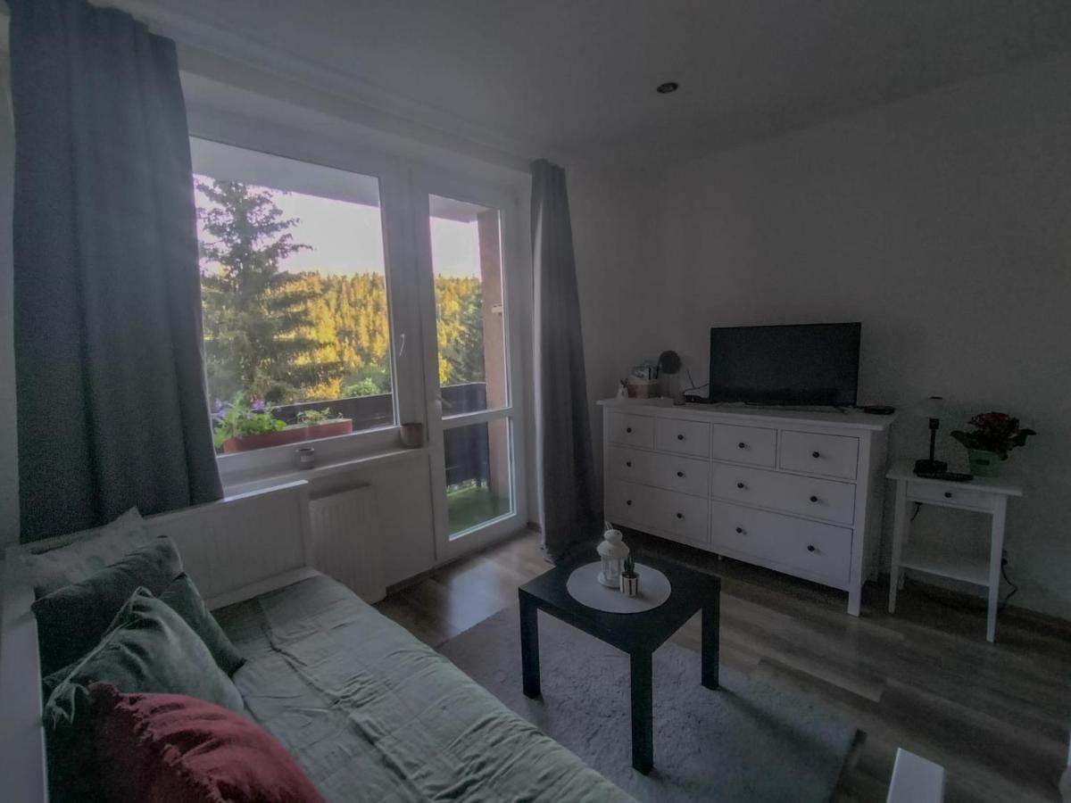 Apartmanek Protez Janske Lazne Exterior photo