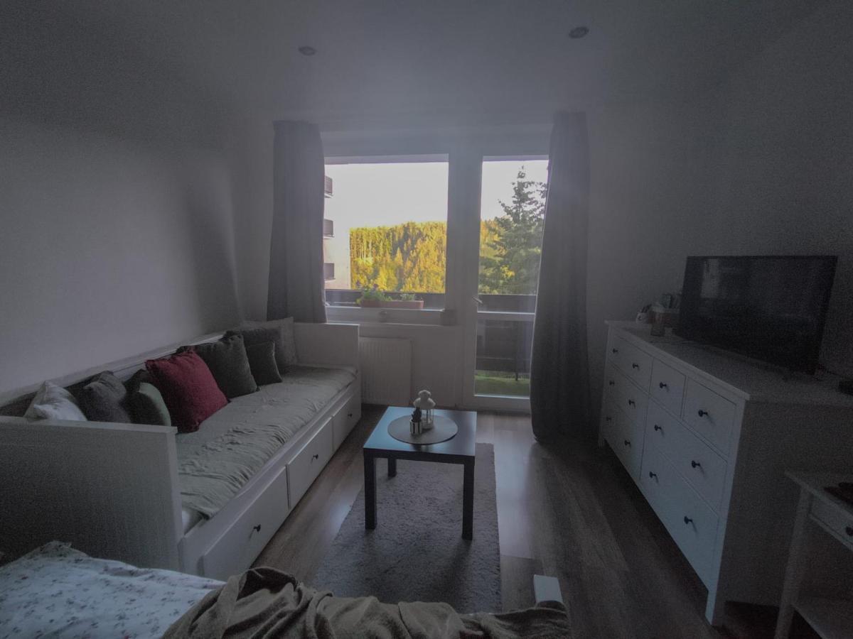 Apartmanek Protez Janske Lazne Exterior photo