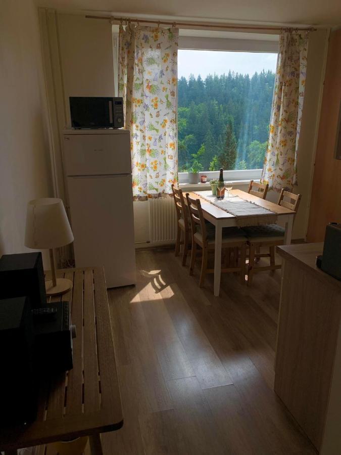 Apartmanek Protez Janske Lazne Exterior photo